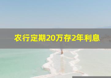 农行定期20万存2年利息