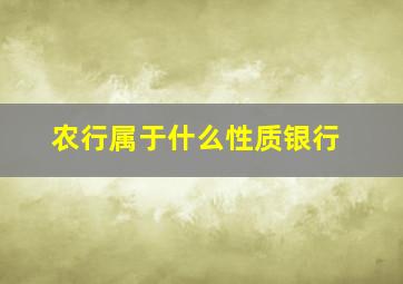 农行属于什么性质银行