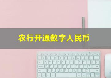 农行开通数字人民币