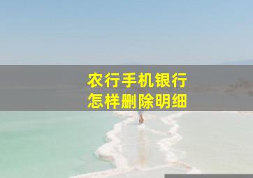 农行手机银行怎样删除明细