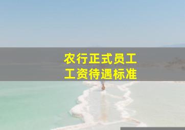 农行正式员工工资待遇标准