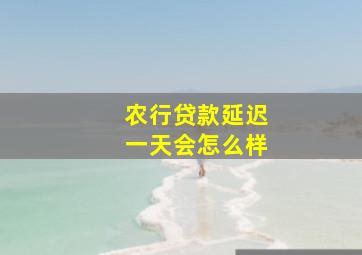 农行贷款延迟一天会怎么样