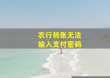 农行转账无法输入支付密码