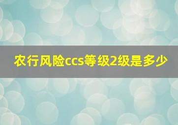 农行风险ccs等级2级是多少