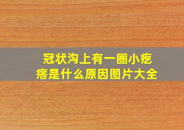 冠状沟上有一圈小疙瘩是什么原因图片大全