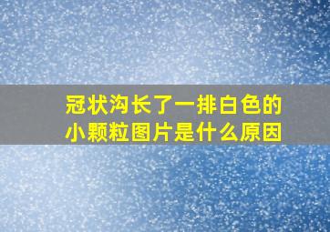 冠状沟长了一排白色的小颗粒图片是什么原因