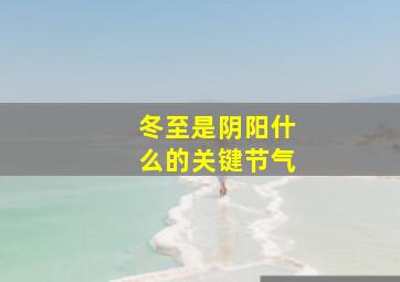 冬至是阴阳什么的关键节气