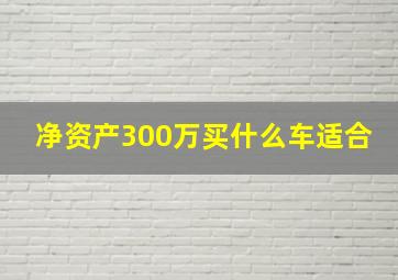 净资产300万买什么车适合