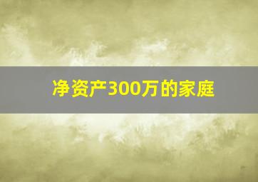 净资产300万的家庭