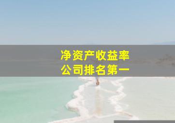 净资产收益率公司排名第一