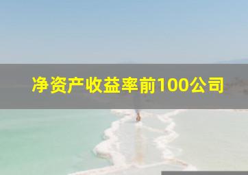 净资产收益率前100公司