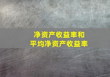 净资产收益率和平均净资产收益率