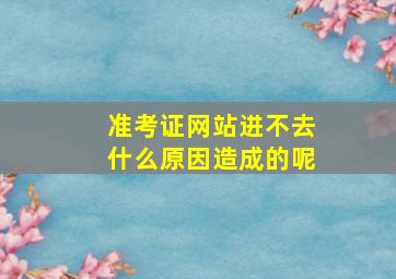 准考证网站进不去什么原因造成的呢