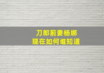 刀郎前妻杨娜现在如何谁知道