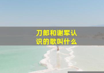 刀郎和谢军认识的歌叫什么