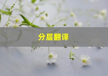 分层翻译