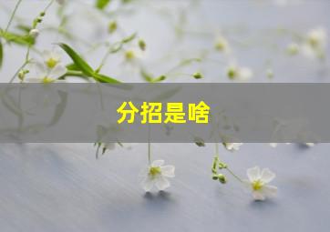 分招是啥