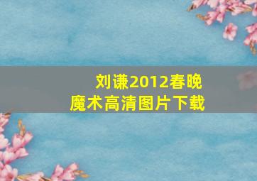 刘谦2012春晚魔术高清图片下载