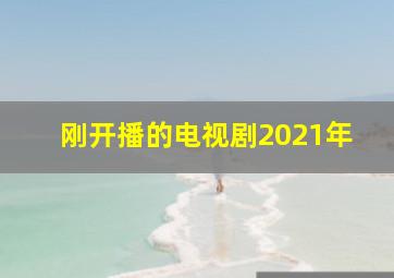 刚开播的电视剧2021年