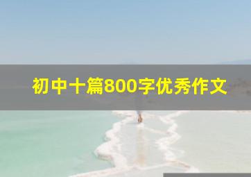 初中十篇800字优秀作文