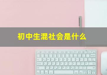 初中生混社会是什么