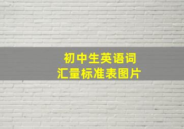 初中生英语词汇量标准表图片