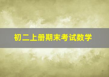 初二上册期末考试数学