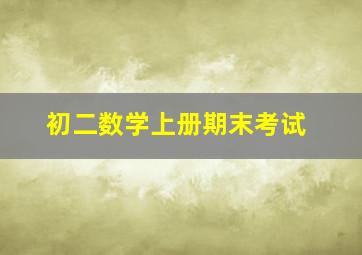 初二数学上册期末考试