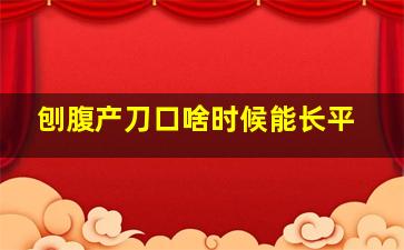 刨腹产刀口啥时候能长平