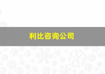 利比咨询公司