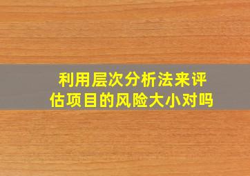 利用层次分析法来评估项目的风险大小对吗