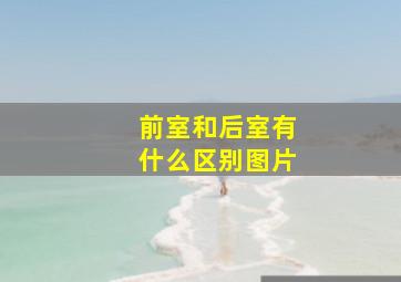 前室和后室有什么区别图片