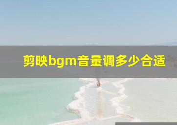 剪映bgm音量调多少合适