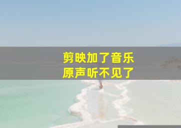 剪映加了音乐原声听不见了