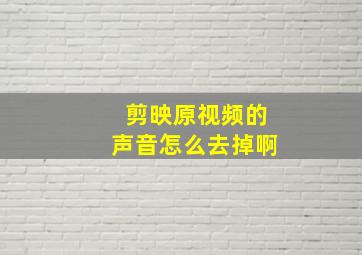 剪映原视频的声音怎么去掉啊