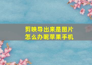 剪映导出来是图片怎么办呢苹果手机