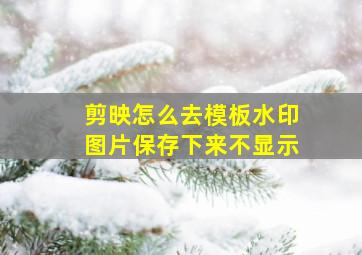 剪映怎么去模板水印图片保存下来不显示