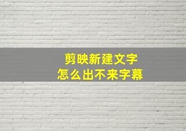 剪映新建文字怎么出不来字幕