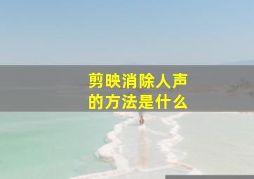 剪映消除人声的方法是什么