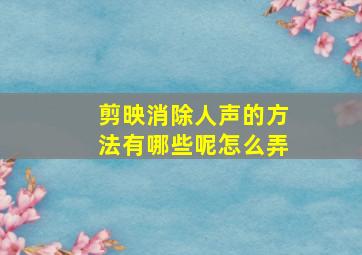 剪映消除人声的方法有哪些呢怎么弄