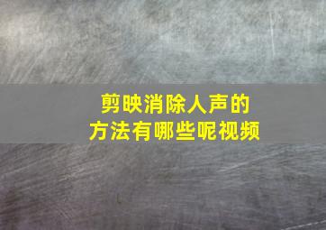 剪映消除人声的方法有哪些呢视频