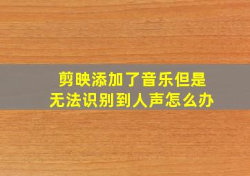 剪映添加了音乐但是无法识别到人声怎么办