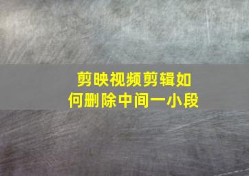 剪映视频剪辑如何删除中间一小段