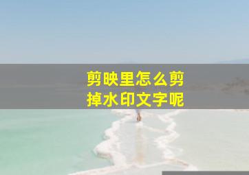 剪映里怎么剪掉水印文字呢