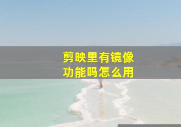 剪映里有镜像功能吗怎么用