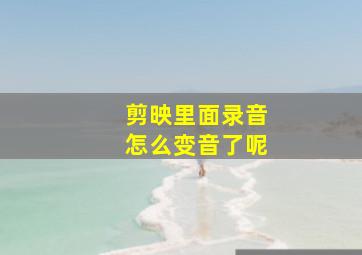 剪映里面录音怎么变音了呢