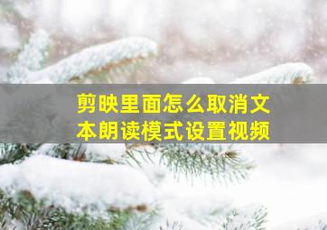 剪映里面怎么取消文本朗读模式设置视频