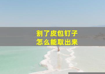 割了皮包钉子怎么能取出来