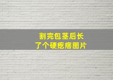 割完包茎后长了个硬疙瘩图片