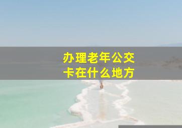 办理老年公交卡在什么地方